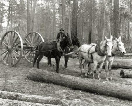American Lumberman Photograph Exhibit