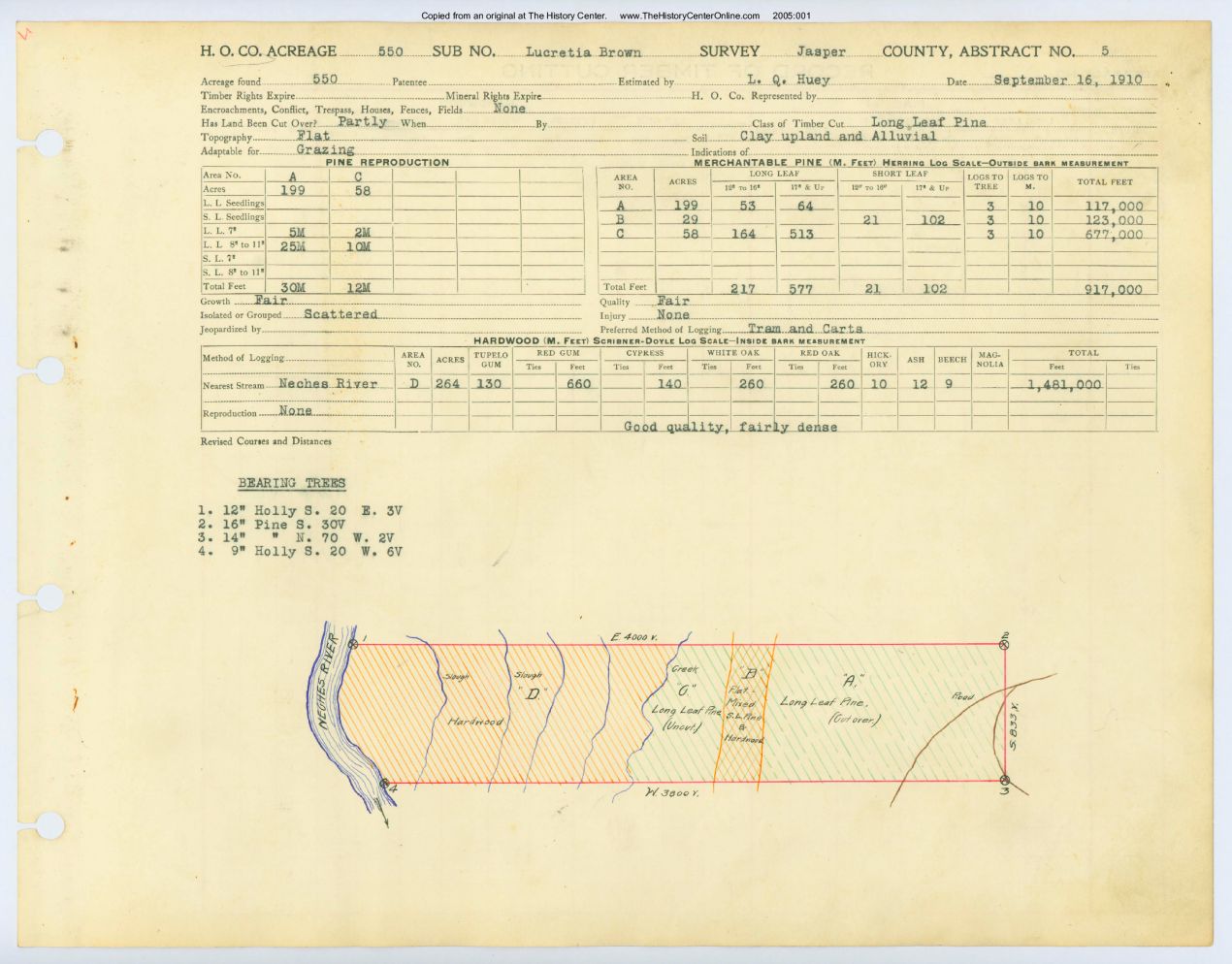 0003 Abstract 5, Brown Survey, 550 acres, Jasper County