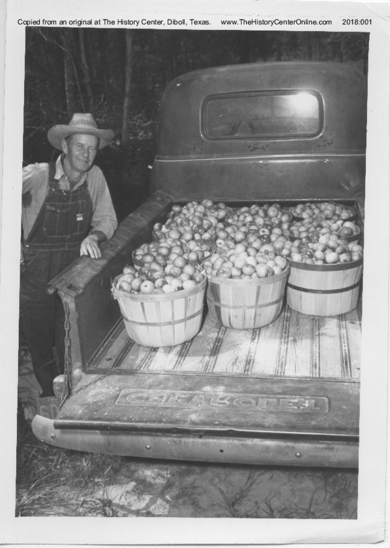 Angelina_County_Chamber_Photograph_099