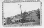 Angelina_County_Chamber_Photograph_225