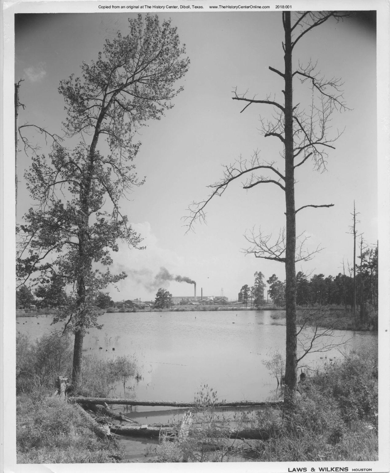 Angelina_County_Chamber_Photograph_233