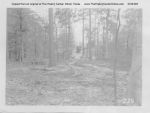 Angelina_County_Chamber_Photograph_213