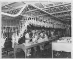 Angelina_County_Chamber_Photograph_209