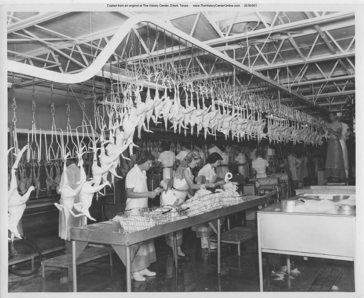 Angelina_County_Chamber_Photograph_209
