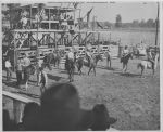 Angelina_County_Chamber_Photograph_217
