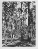 Angelina_County_Chamber_Photograph_284