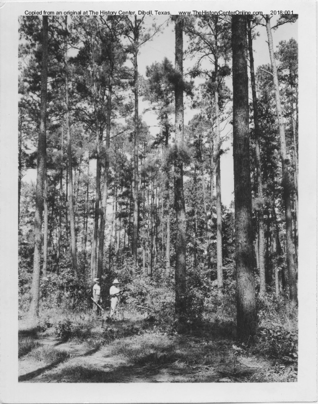 Angelina_County_Chamber_Photograph_284