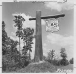 Angelina_County_Chamber_Photograph_286