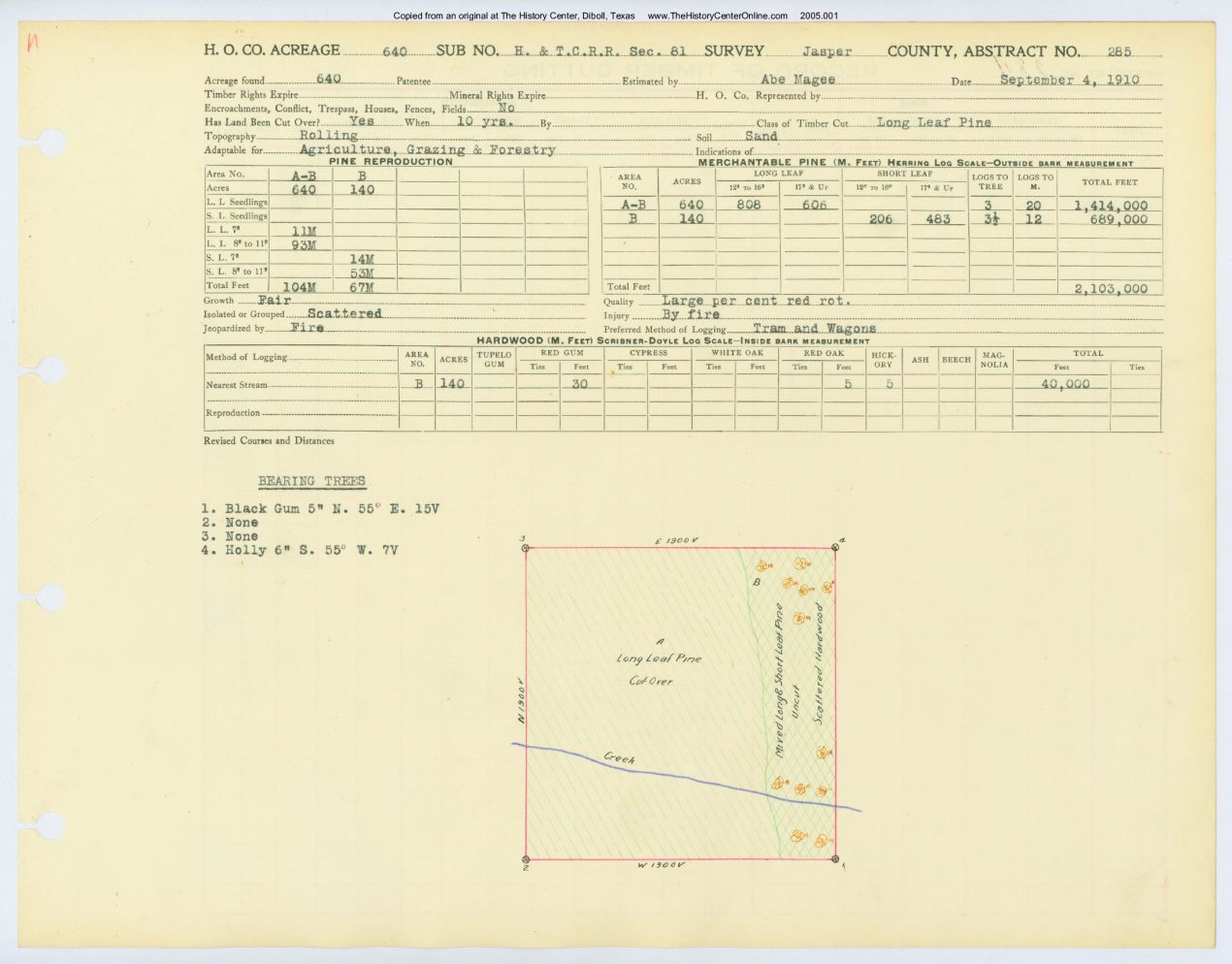0170 Abstract 285, H&T.C.R.R. Survey, Jasper County