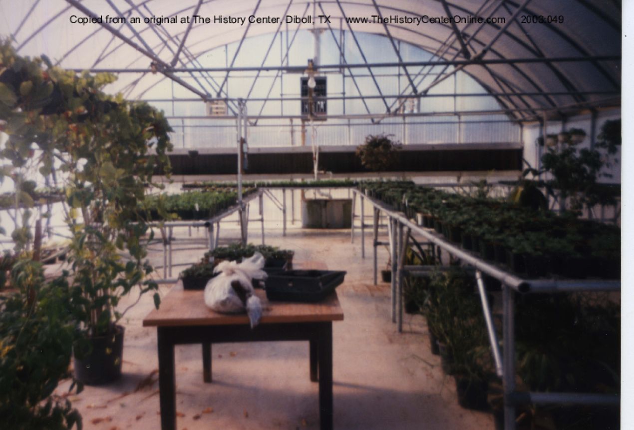 Building Greenhouse Interior