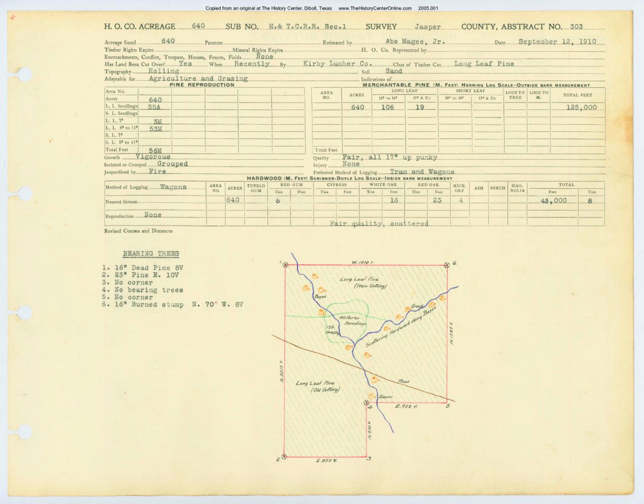 0185 Abstract 303, H&T.C.R.R. Survey, Jasper County