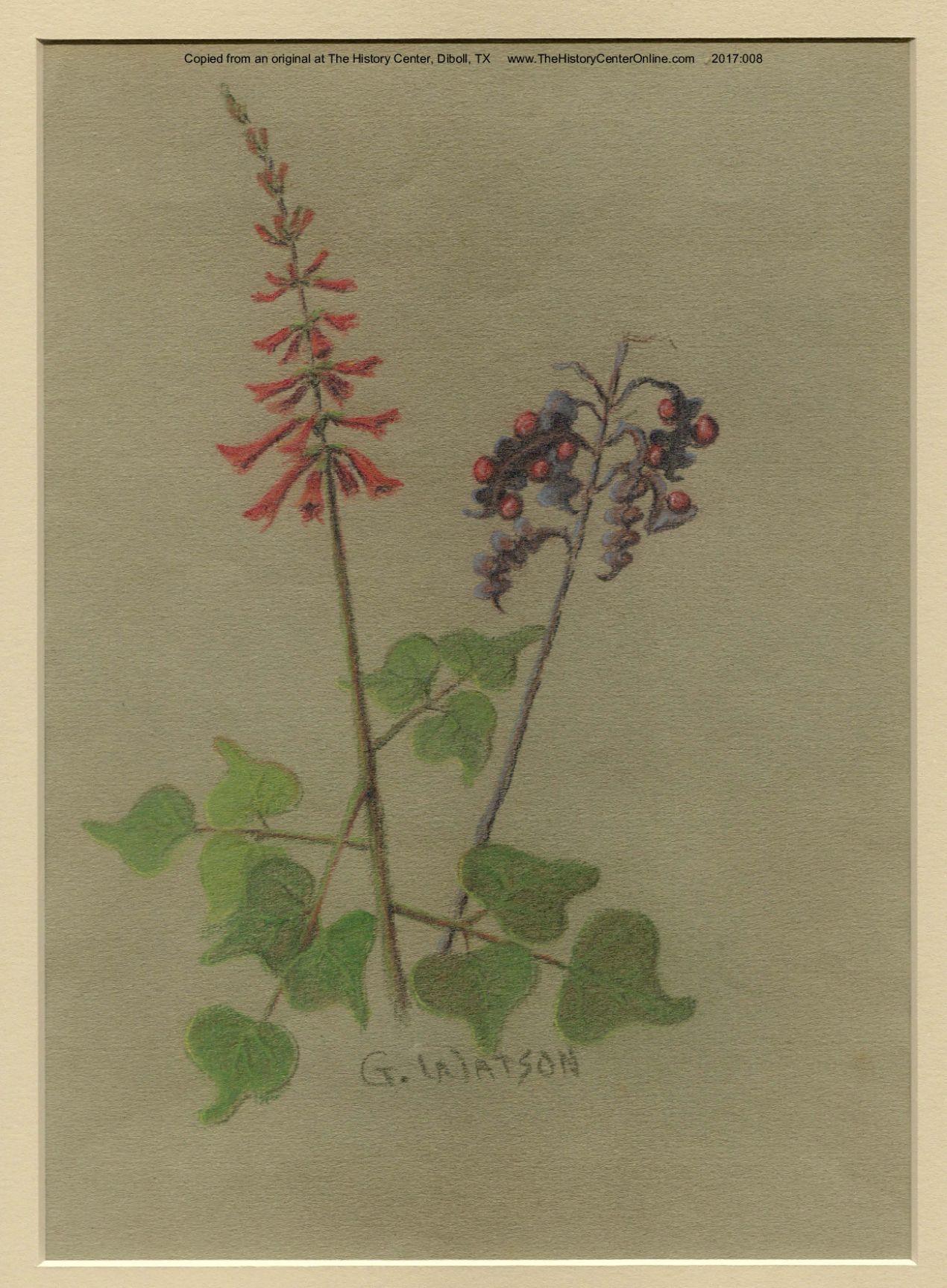 Geraldine_Ellis_Watson_04
