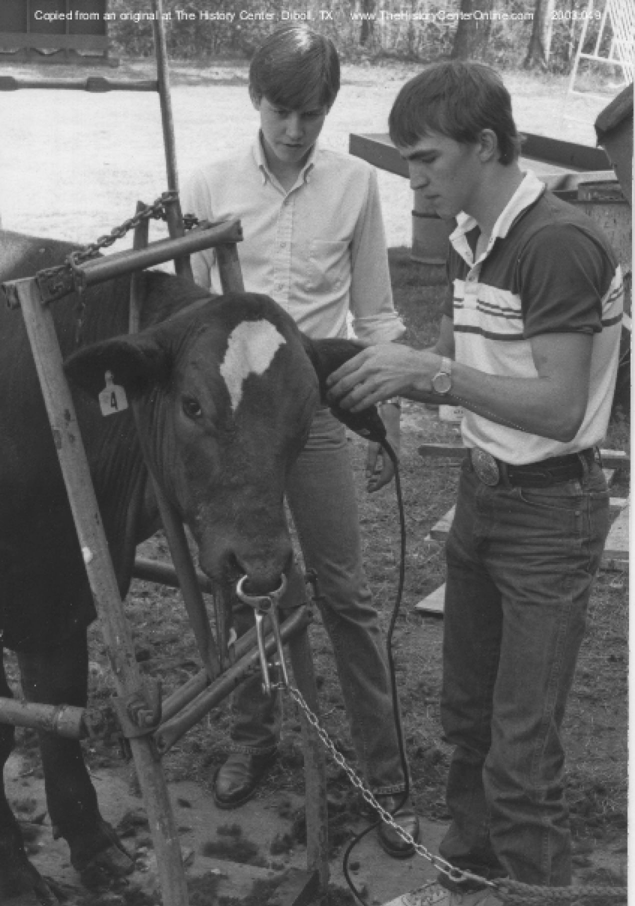 Student Cheshire Murray Steer