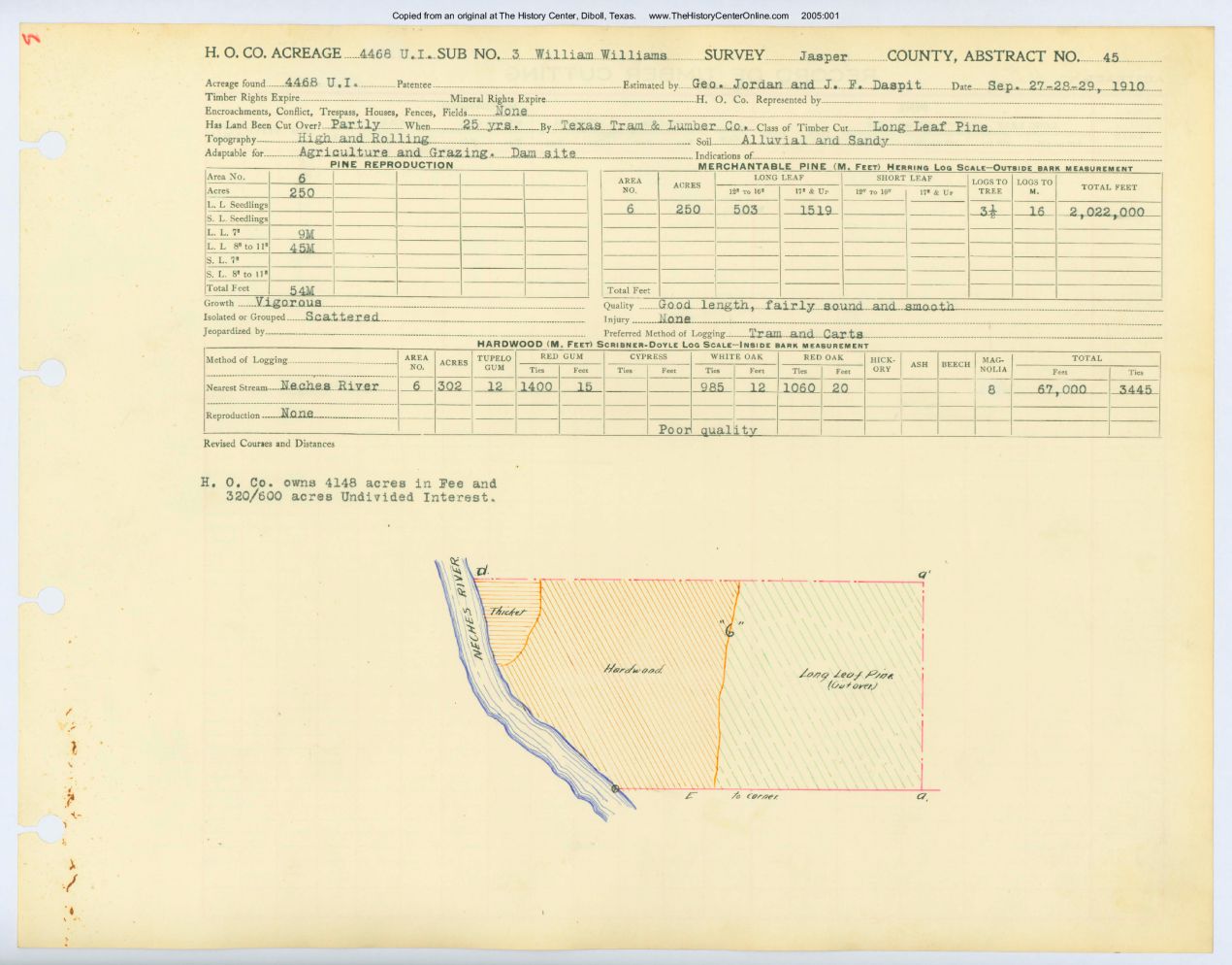 0038 Abstract 45, Williams 3 Survey, Jasper County