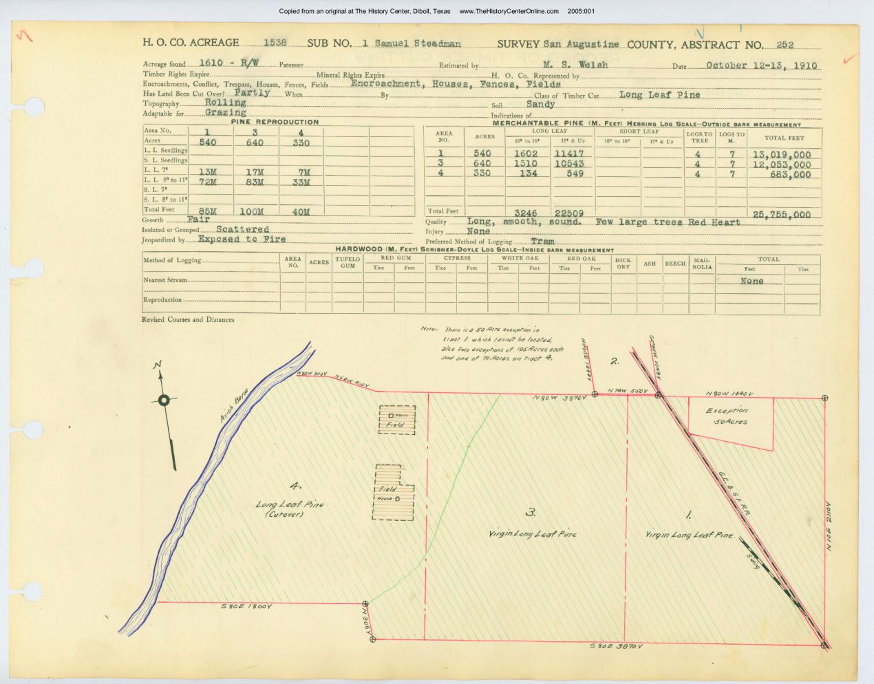 027 Abstract 252, Steadman Survey 01, San Augustine County