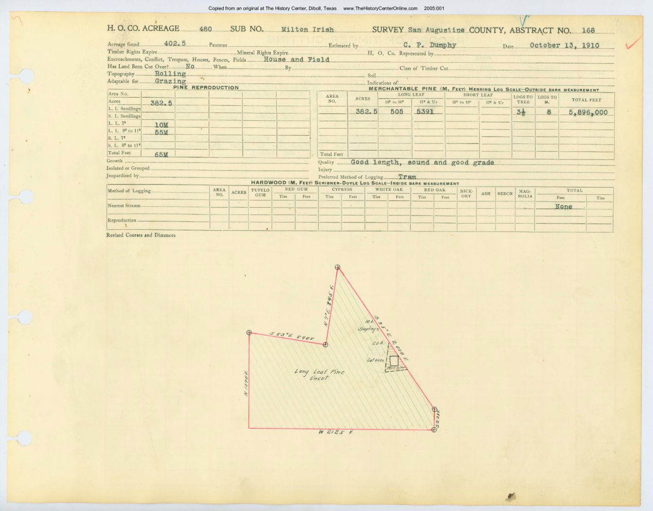 023 Abstract 168, Irish Survey, front and back, San Augustine County
