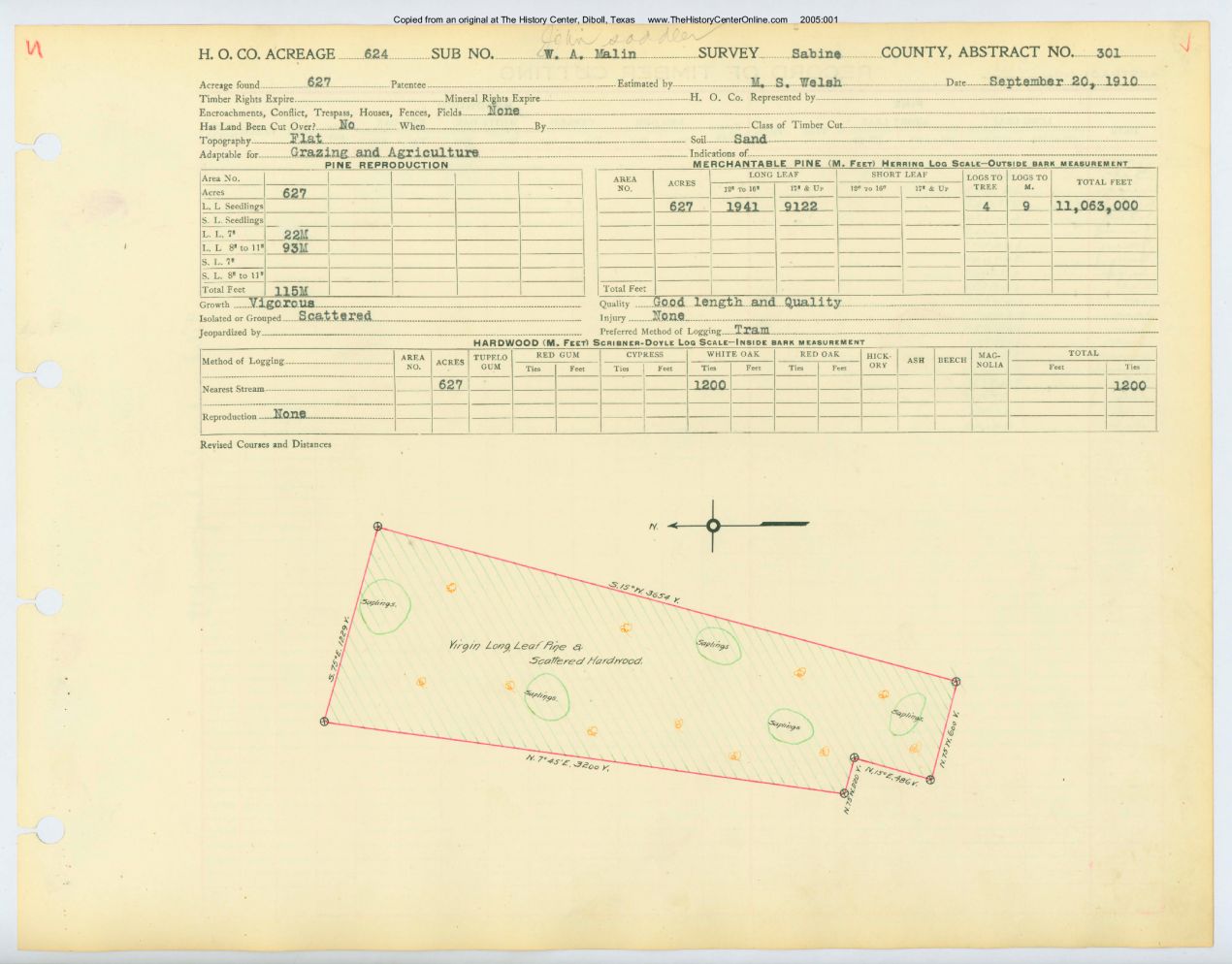 0049 Abstract 301, Saddler Survey, front and back, Sabine County