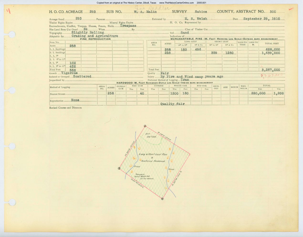 0048 Abstract 300, Saddler Survey, front and back,&nbsp; Sabine County