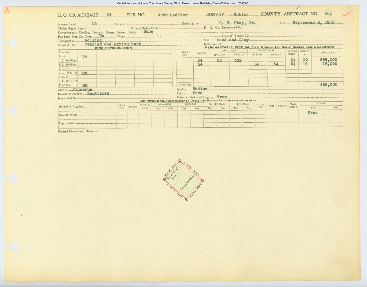 0047 Abstract 299, Saddler Survey, Sabine County