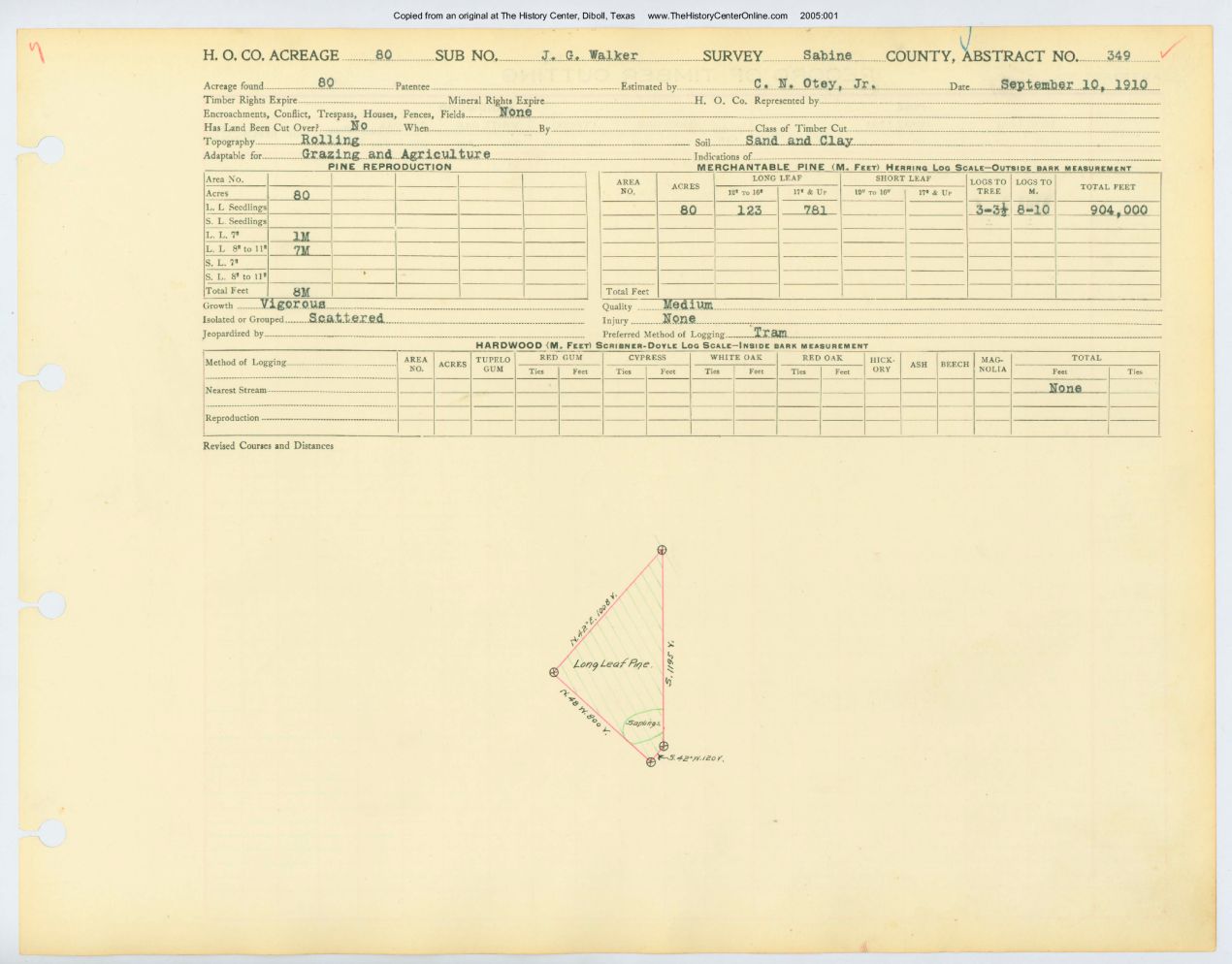 0064 Abstract 349, Walker Survey, Sabine County