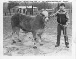 1990 Angelina County Youth Fair Student with Steer
