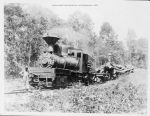 004_Randy_Winston_Shay_Logging_Train