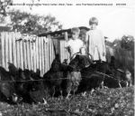 Wanda_Guidry_Collection_007