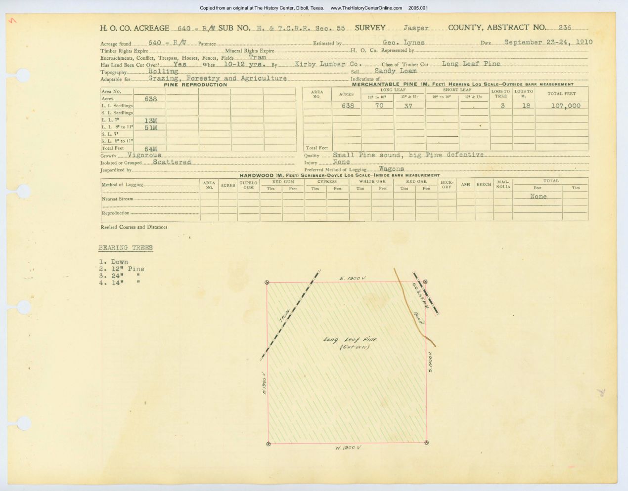 0125 Abstract 236, H&T.C.R.R. Survey, front and back, Jasper County