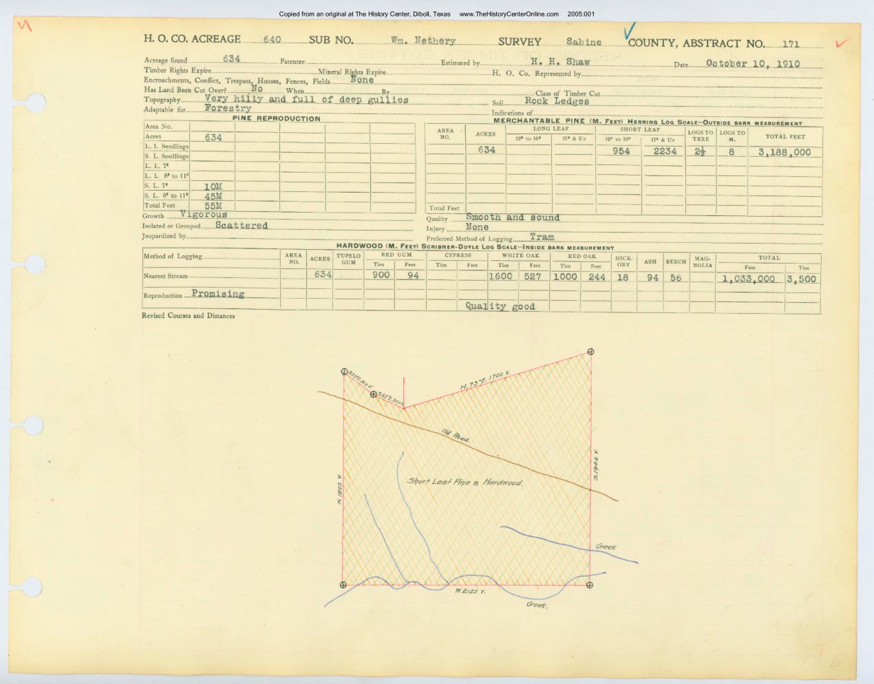 0028 Abstract 171, Nethery Survey, front and back, Sabine County