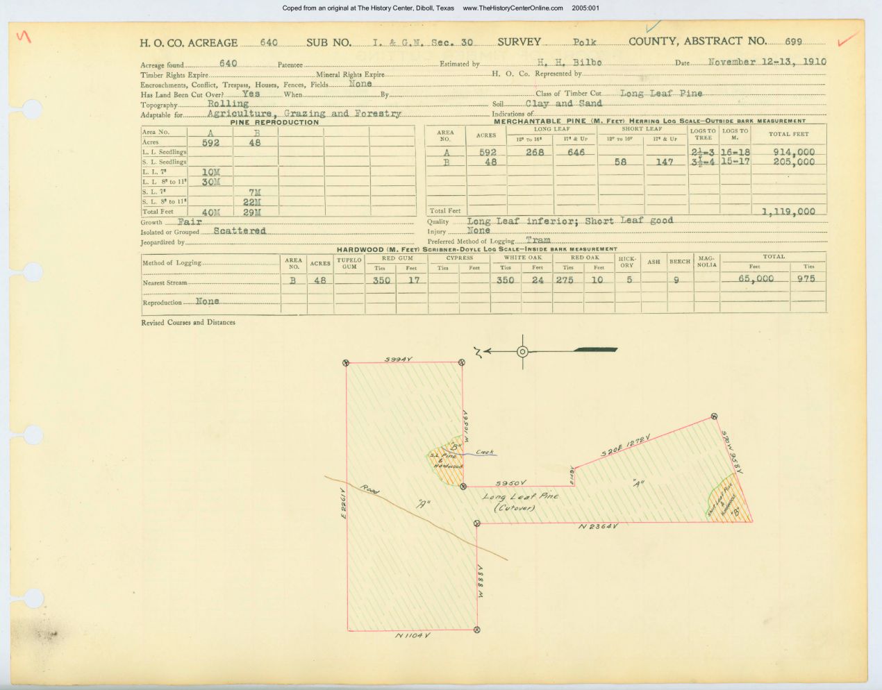 0028 Abstract 699, I.G.N. Railway Company Survey, Polk County