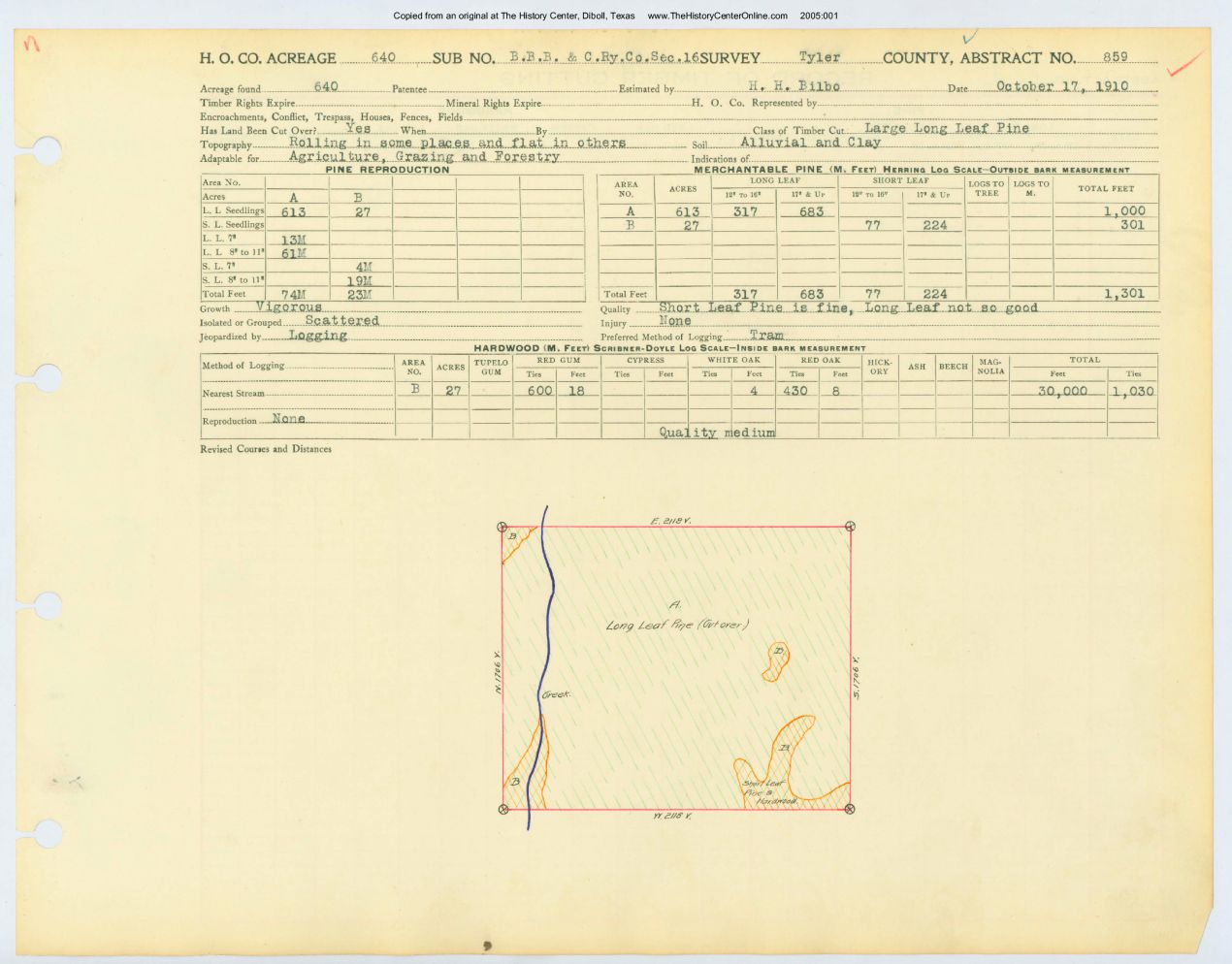 0174 Abstract 859, B.B.B.C. Railway Company Survey, Tyler County
