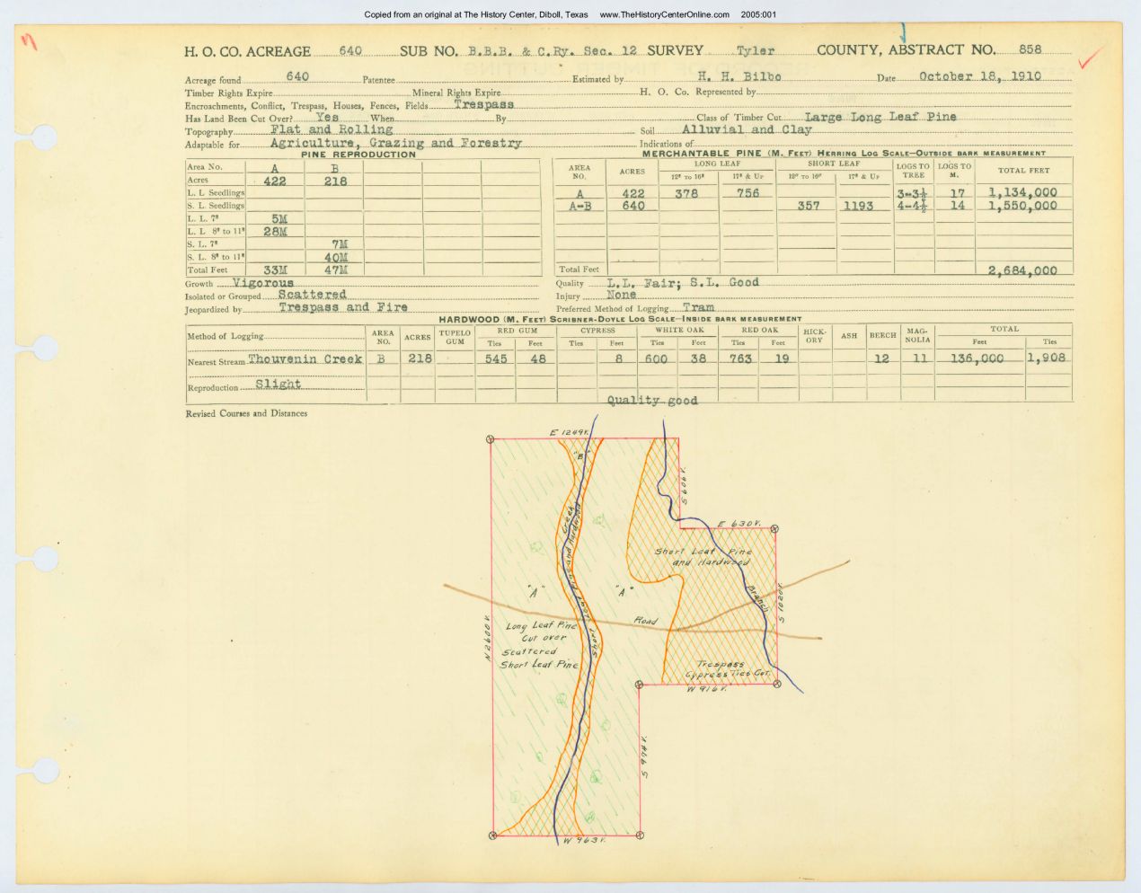 0173 Abstract 858, B.B.B.C. Railway Company Survey, Tyler County