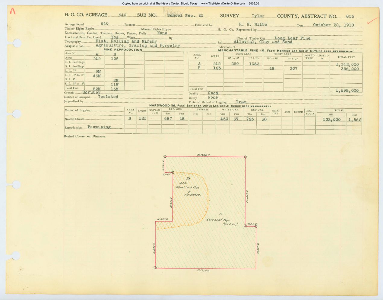 0170 Abstract 855, School Survey,front and back, Tyler County