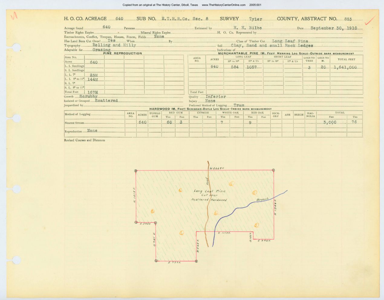 0168 Abstract 853, E.T. Railway Company Survey, Tyler County