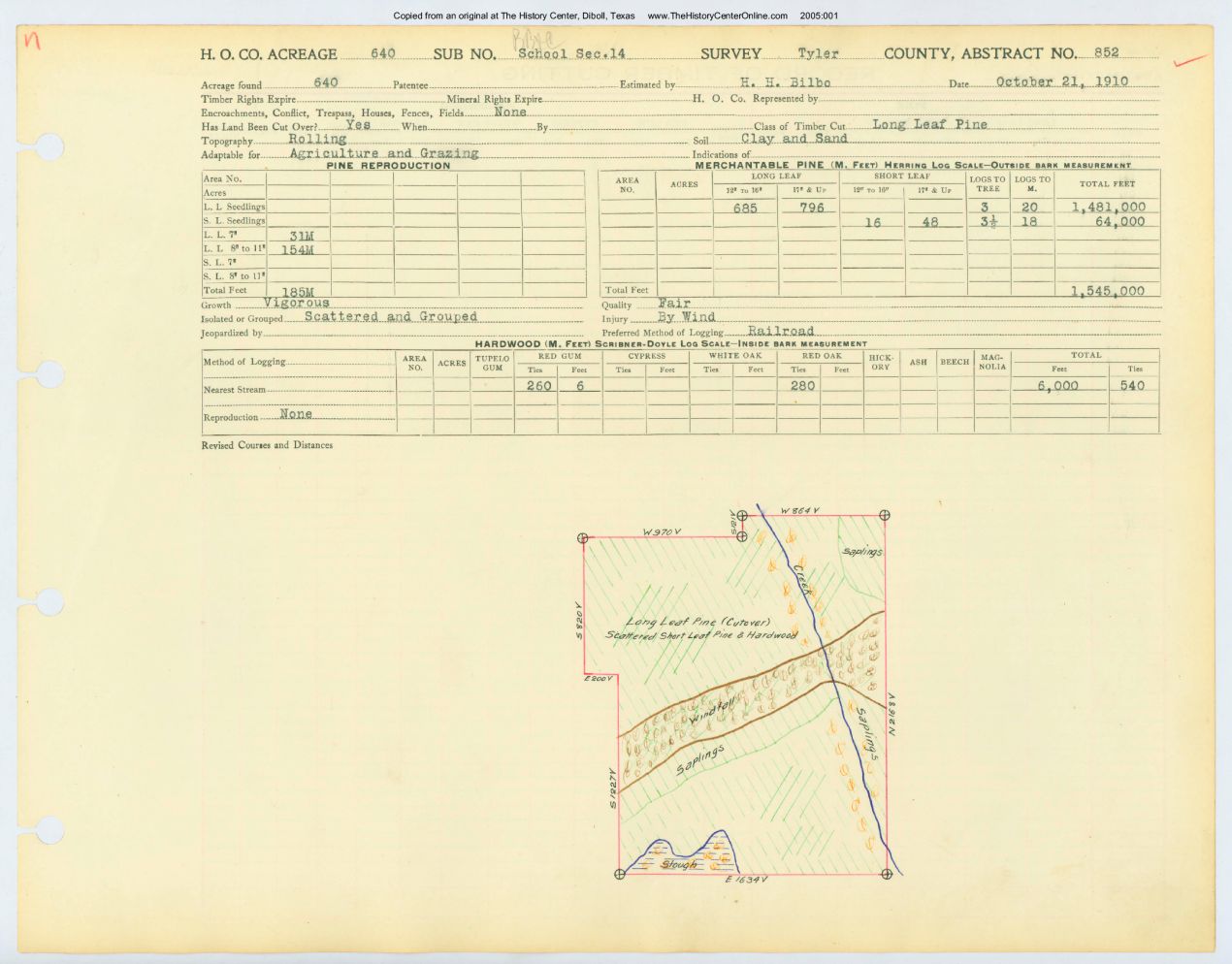 0167 Abstract 852, School Survey, Tyler County