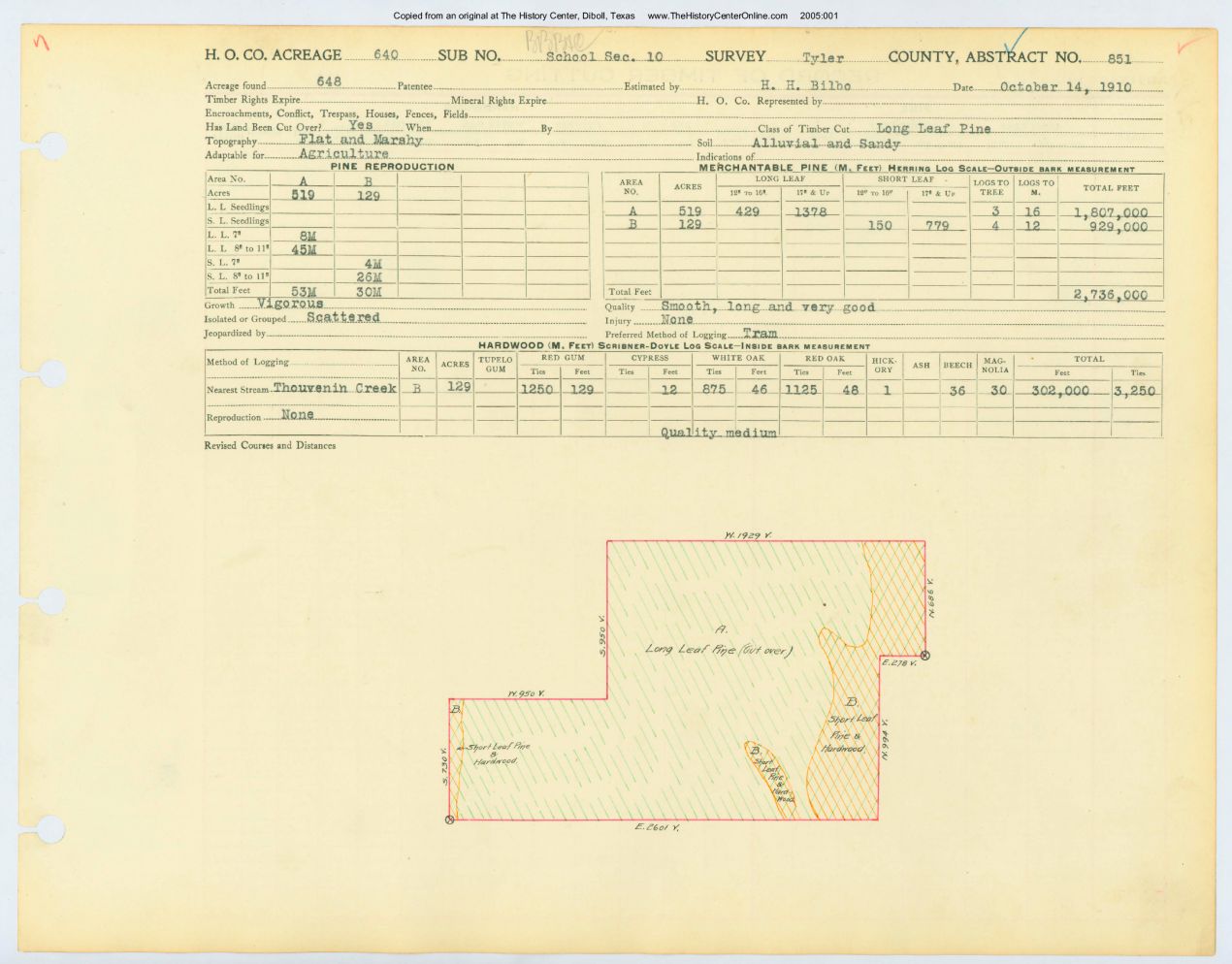 0166 Abstract 851, School Survey, Tyler County