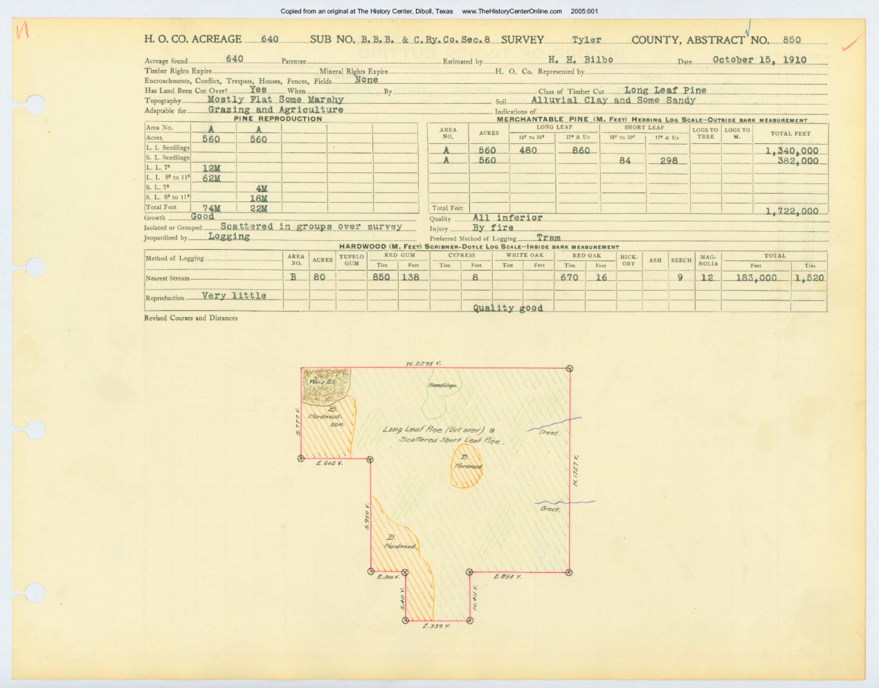 0165 Abstract 850, B.B.B.C.Railway Company Survey, Tyler County