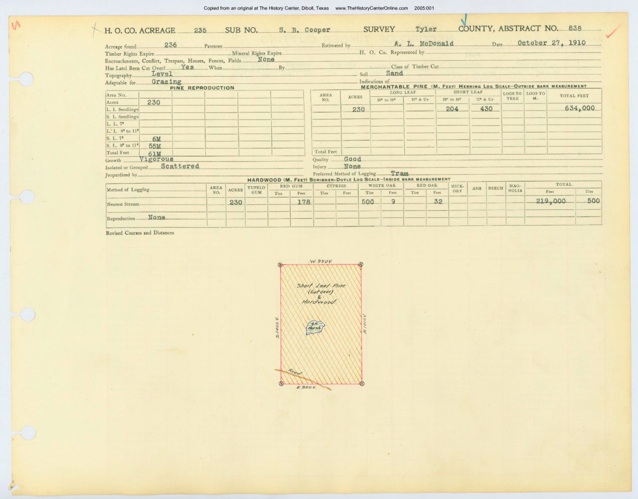 0161 Abstract 838, Cooper Survey, Tyler County