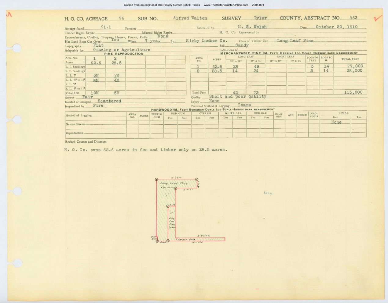 0175 Abstract 863, Walton Survey, Tyler County