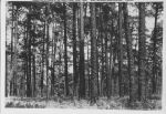 Temple_Inland_Public_Affairs_090