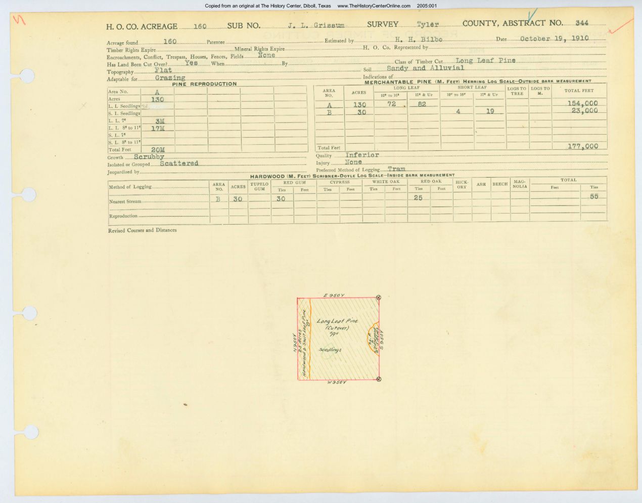 0093 Abstract 344, Grissum Survey, Tyler County