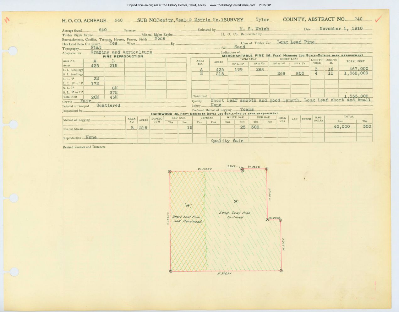 0144 Abstract 740, Beatty, Seal &amp; Morris Survey, front and back, Tyler County
