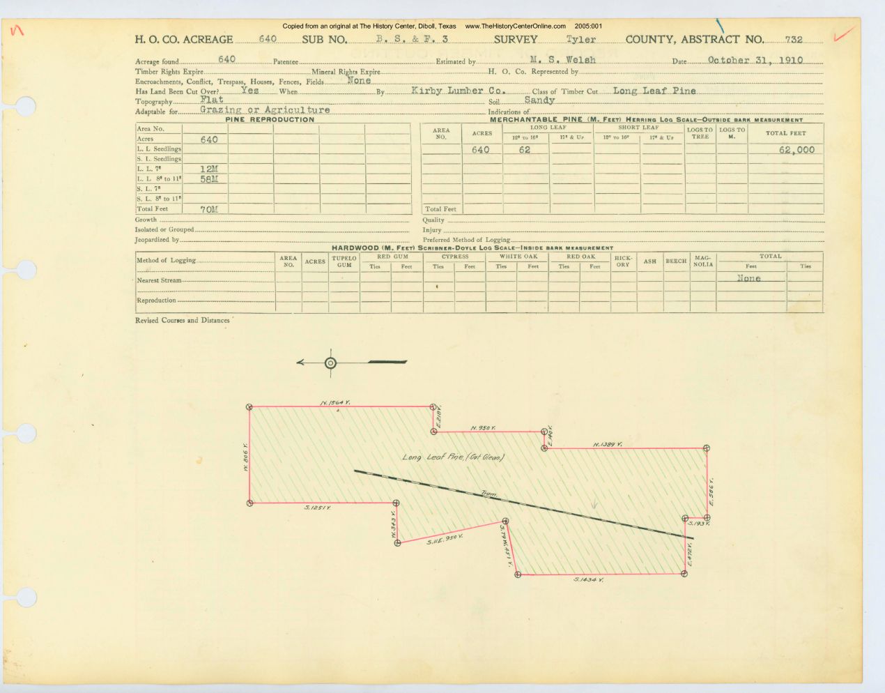 0142 Abstract 732, B.S.&amp; F. Survey, Tyler County