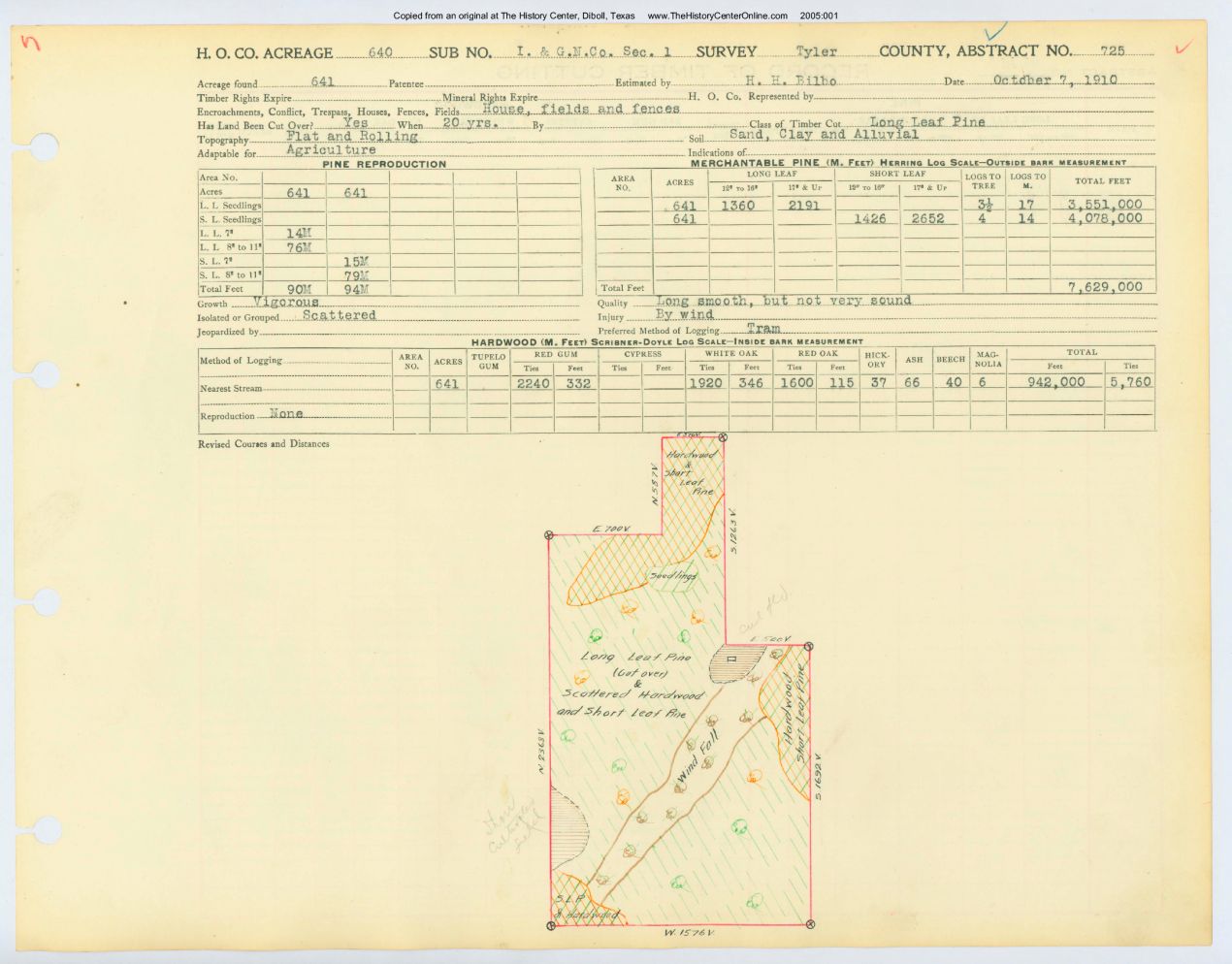 0138 Abstract 725, I.G.N. Railway Company Survey, Tyler County
