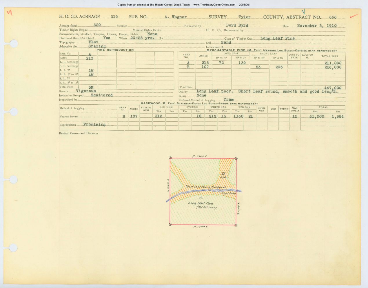 0129 Abstract 666, Wagner Survey, Tyler County