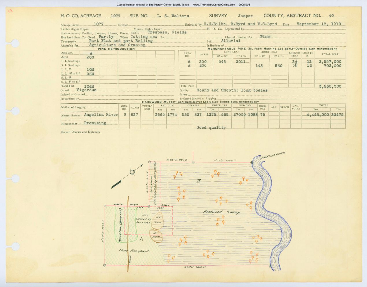 0031 Abstract 40, Walters Survey, Jasper County