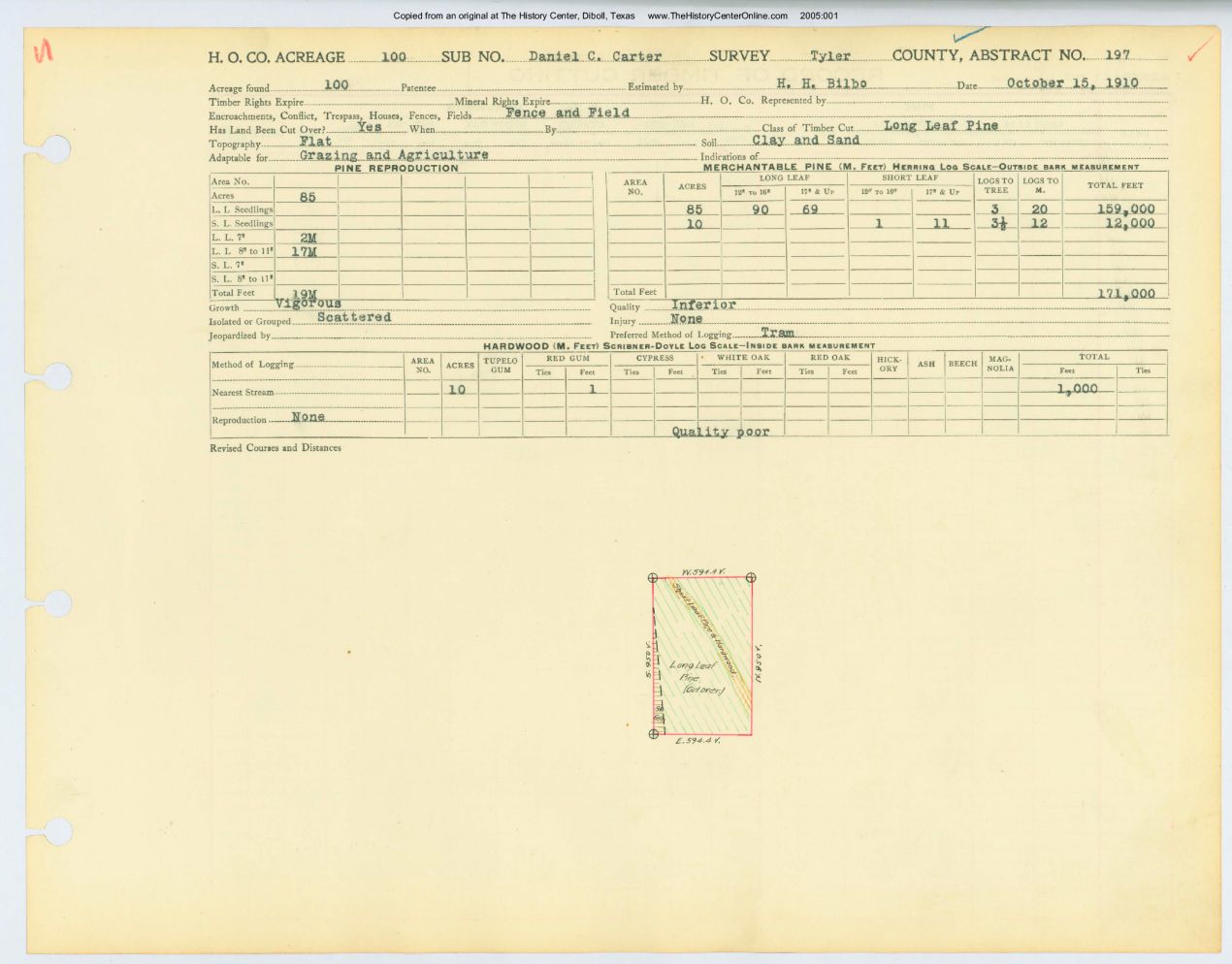 0053 Abstract 197, Carter Survey, Tyler County