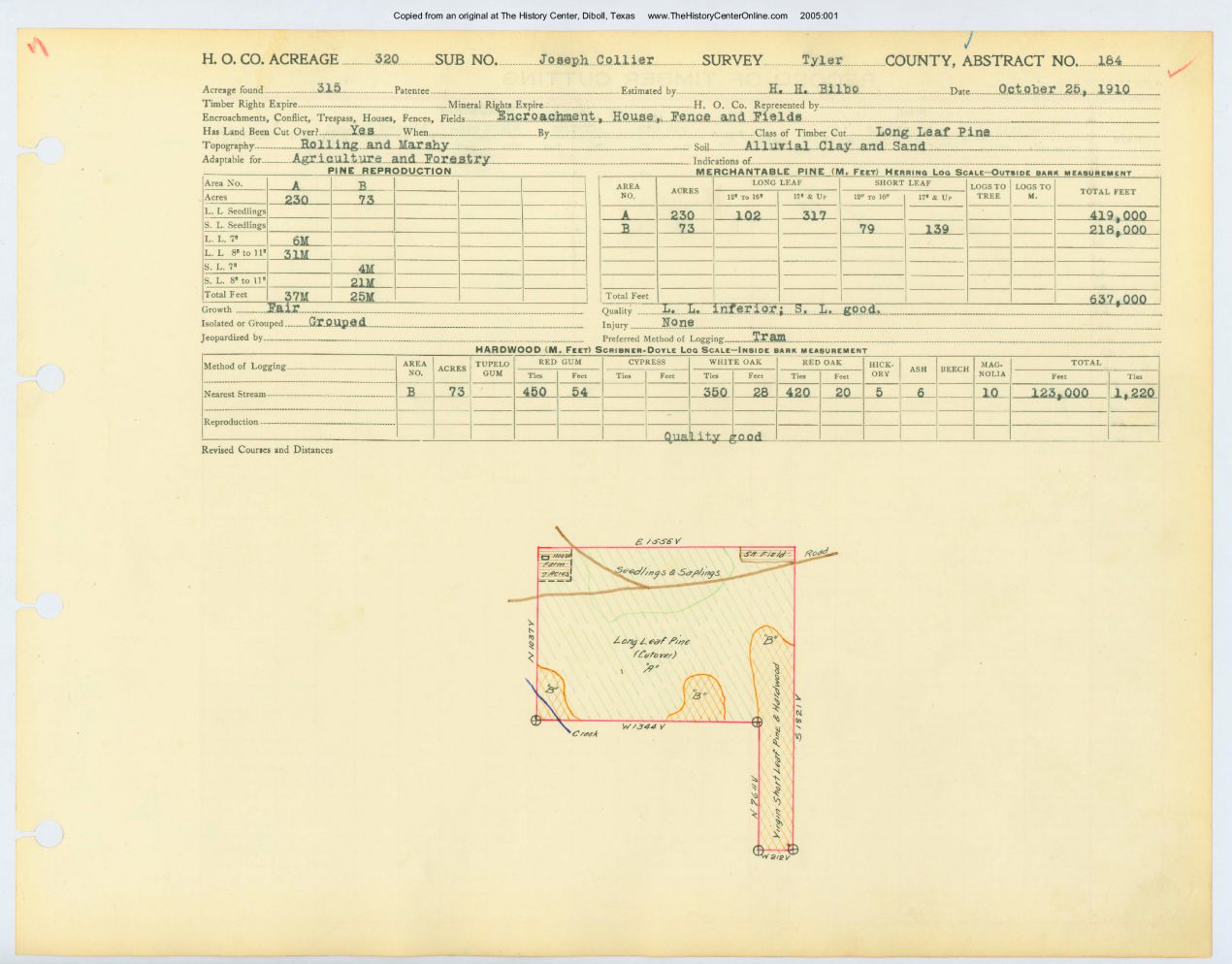 0051 Abstract 184, Collier Survey, Tyler County