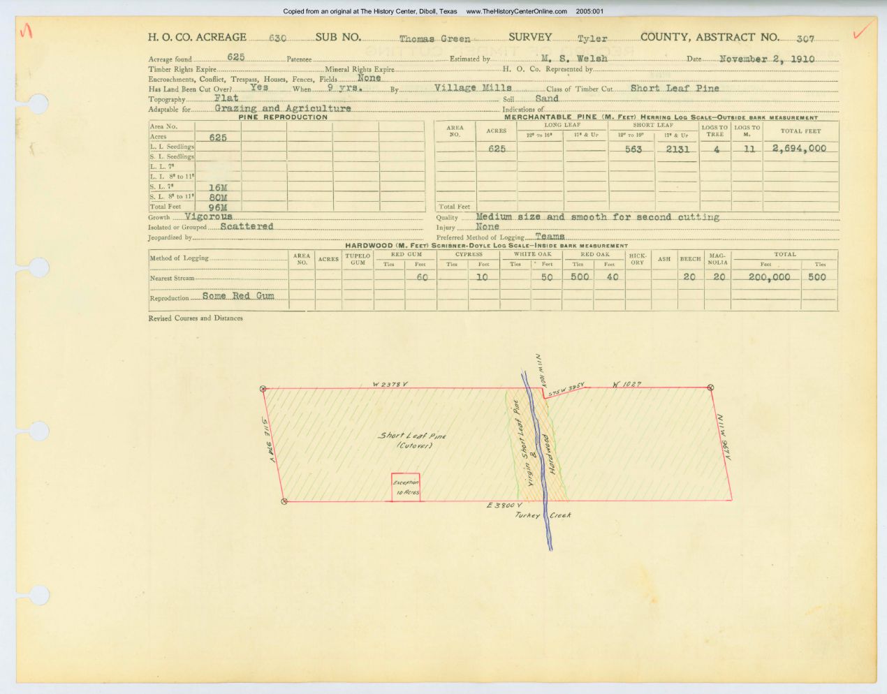 0084 Abstract 307, Green Survey, front and back, Tyler County