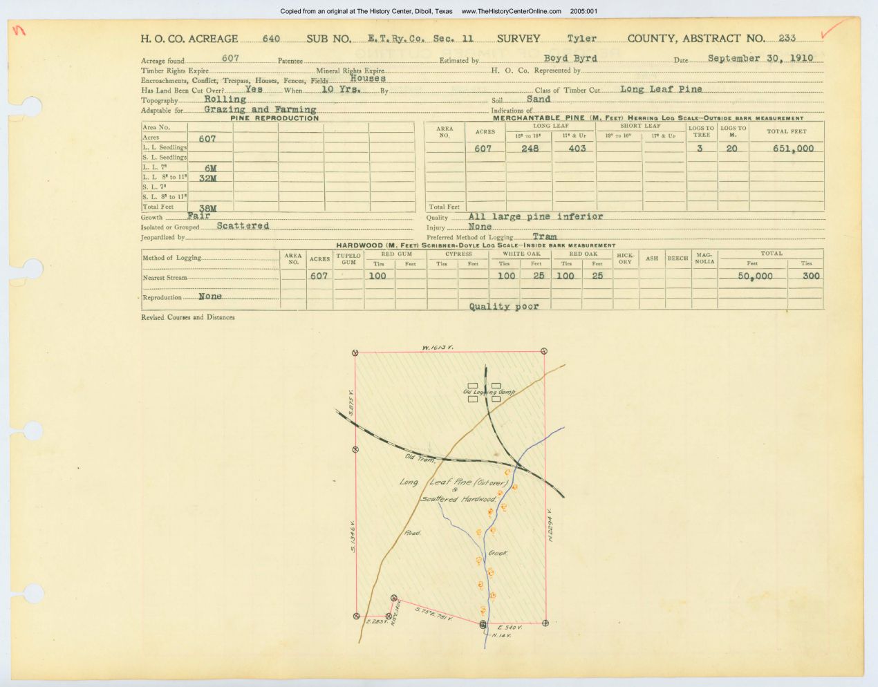 0064 Abstract 233, E.T. Railway Company Survey, front and back, Tyler County